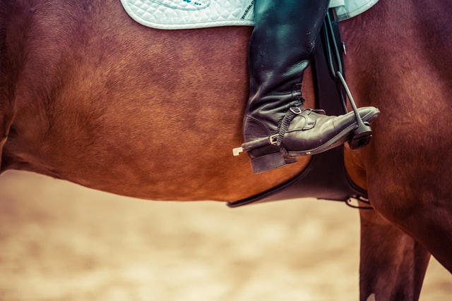 What Equipment Do You Need For Equestrian Jumping?