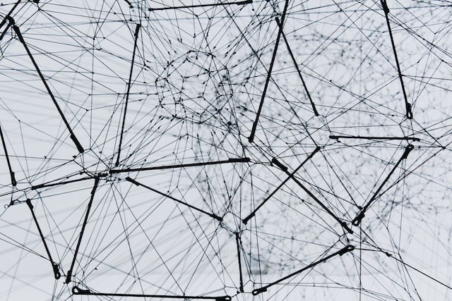 What is Network Visualization?