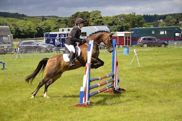 Jumping to Success: A Comprehensive Guide to Equestrian Jumping Essentials